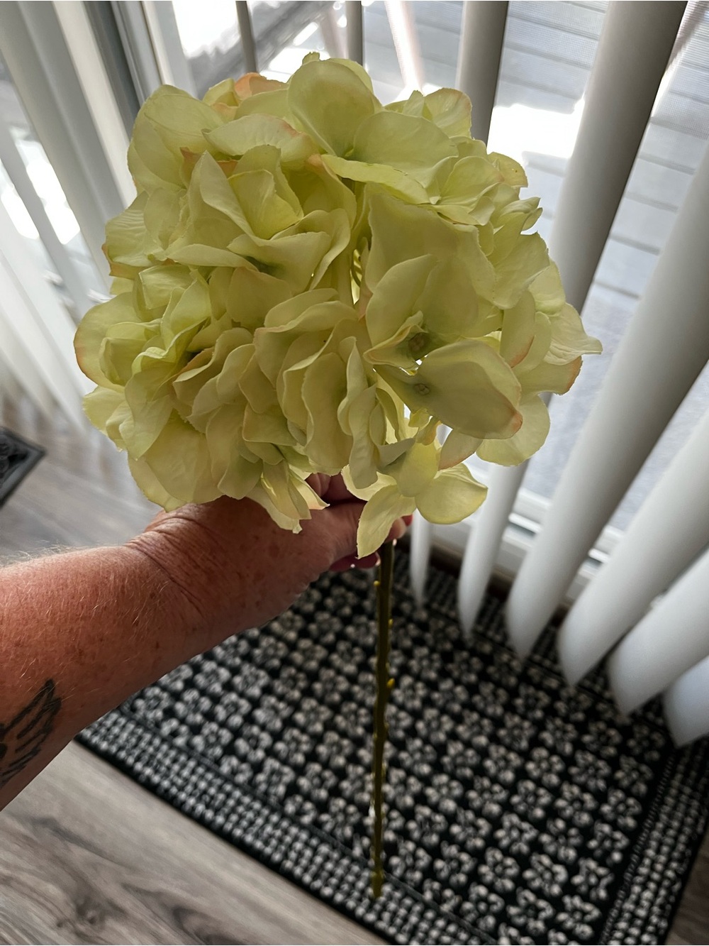 Hydrangea Stem Bundle - Soft Green